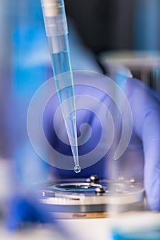 Hands of a researcher carrying out scientific research