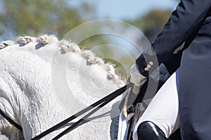 Hands of a rider holding two reins next to a horse`s mane neck