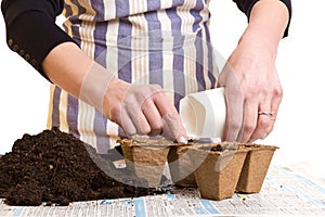 Hands with seeds, soil and pots