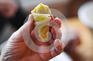 Hands of seniors woman raw sauerkraut stuffed cabbage,sitting at a round table