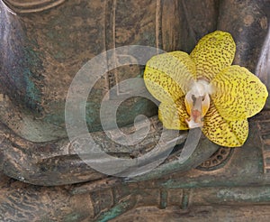 Hands of a Serene Buddha