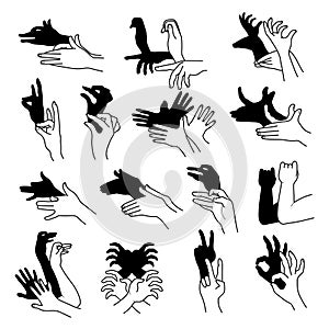 Hands shadow. Theatrical gestures hands puppets creative poses from human fingers different animals birds rabbit bear