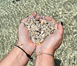 Hands in the shape of a heart with shells from Playa Conchal beach in Costa Rica photo