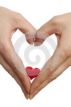 Manos formación corazón corazón de vaso 