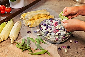 Hands shelling fresh colorful beans