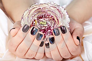 Hands with short manicured nails colored with dark purple nail polish and flower