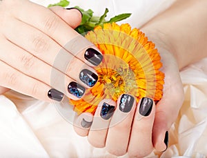 Hands with short manicured nails colored with dark purple nail polish holding a flower