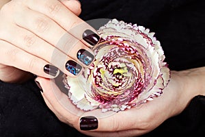 Hands with short manicured nails colored with dark purple nail polish holding a flower