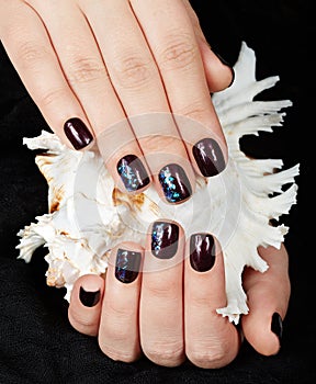 Hands with short manicured nails colored with dark purple nail polish holding a sea shell