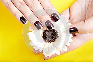 Hands with short manicured nails colored with purple nail polish