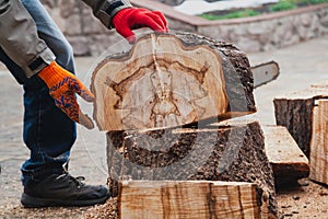 Hands split sawn piece of tree trunk