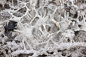 Hands Statue from Hell From Hell at Wat Rong Khun Temple