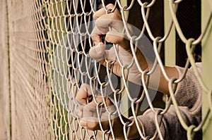 Hands with steel mesh fence