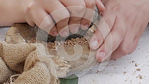 hands with stone to grind grain seeds into powder in a mortar