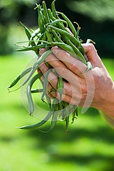 Hands and string beans
