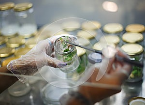 Hands take a sprout from a jar