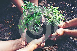 Hands team work and family holding young plants on the arid soil and cracked ground or dead soil in the nature park