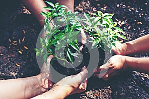Hands team work and family holding young plants on the arid soil and cracked ground or dead soil in the nature park photo