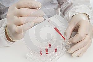 Hands testing labsample