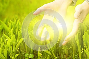 Hands touching green grass