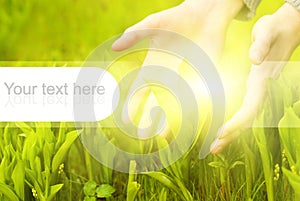 Hands touching green grass