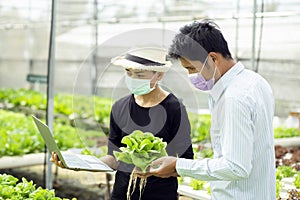 Hands touching non toxic vegetables