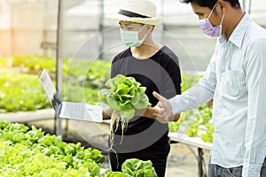 Hands touching non toxic vegetables