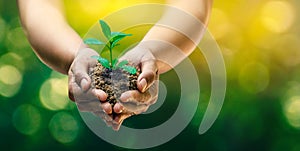 In the hands of trees growing seedlings. Bokeh green Background Female hand holding tree on nature field grass Forest conservation