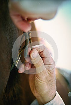 Hands tying horse reins photo