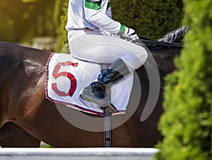 Hands and uniform of a jockey. Race horse in racing competition. Jockey sitting on racing horse. Sport. Champion