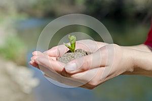 Hands Up blue and green lake photo