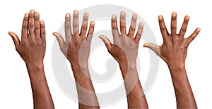 Hands up seen from the back isolated on white background