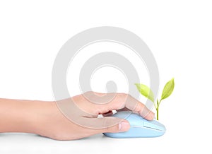 Hands using mouse with plant