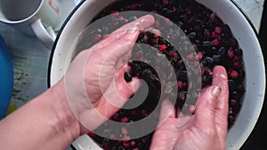 Hands wash berries in a bowl.