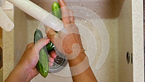 Hands wash cucumbers