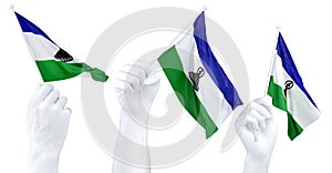 Hands waving Lesotho flags isolated on white