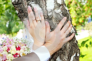Hands with wedding rings