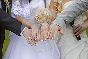 Hands with wedding rings two pairs