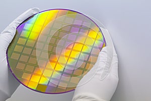 Hands in white gloves holding a silicon wafer with microchips on white background.Banner format