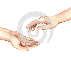 The hands of a white woman, one accepts the other gives. Realistic hand-drawn watercolor illustration photo