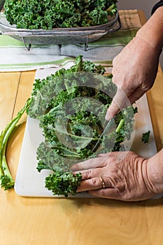 Hands wielding a knife cutting the spines from kale leaves, vert