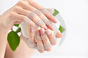 Hands of a woman with beautiful french manicure and white rose