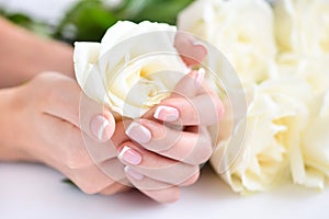 Hands of a woman with beautiful french manicure and white roses