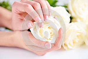 Hands of a woman with beautiful french manicure and white roses