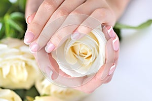 Hands of a woman with beautiful french manicure and white roses