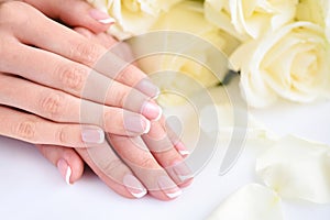 Hands of a woman with beautiful french manicure and white roses