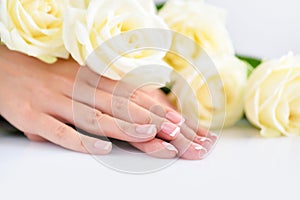 Hands of a woman with beautiful french manicure and white roses