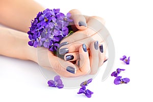 Hands of a woman with dark manicure on nails and bouquet of violets on a white background