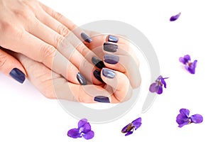 Hands of a woman with dark manicure on nails and flowers violets on a white background