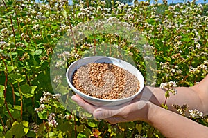 Hands of the woman hold a bowl with buckwheat against the background of the